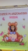 Dzień Pluszowego Misia - 25.11.2021