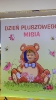 Dzień Pluszowego Misia - 25.11.2021