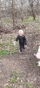 Dzień Ziemi - 22.04.2022