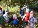 Na polu u Kopra, gr. IV - 06.10.2021