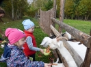 Na polu u Kopra, gr. IV - 06.10.2021