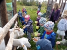Na polu u Kopra, gr. IV - 06.10.2021