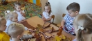 Światowy Dzień Drzewa - 11.10.2021