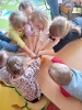 Dzień Dinozaura u żabek 24.02.2023