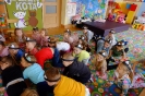 Dzień Kota -17.02.23r.