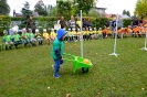 DSCF3367