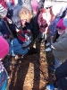Starszaki sadzą drzewka w SP nr 1 -  15.11.2022
