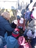 Starszaki sadzą drzewka w SP nr 1 -  15.11.2022