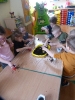 Tygryski - Mali ogrodnicy -22.03.2023r.