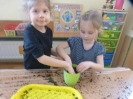 Tygryski - Mali ogrodnicy -22.03.2023r.
