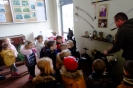 Tygryski zwiedzają kino  w SOK 