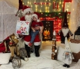 IMG-20221206-WA0002