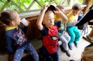 DSCF1343