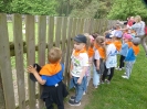 Wycieczka Tygrysków do Tokarni - 26.05.2023r.