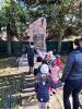 Żabki pod pomnikiem żołnierzy AK  2.11.2023r.