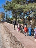 Żabki pod pomnikiem żołnierzy AK  2.11.2023r.