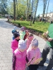 Akcja #Sadzimy 12.04.2024 r.