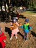 Dzień Drzewa u Żabek - 10.10.2023r.