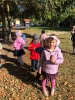 Dzień Drzewa u Żabek - 10.10.2023r.