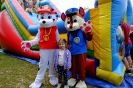 DSCF3461