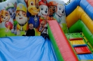 DSCF3509