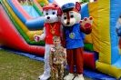 DSCF3527