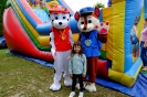 DSCF3531