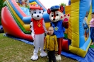 DSCF3532