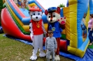 DSCF3533