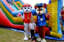 DSCF3594
