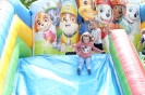 DSCF3728