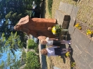 Dzień Patrona 17.05.24r.