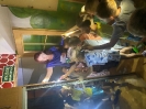 Nocka w przedszkolu  u Delfinków 07.06.24r.