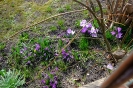 Powitanie Wiosny 21.03.2024