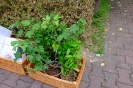 DSCF4074