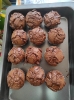 IMG-20240124-WA0081
