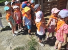 Tygryski w zagrodzie edukacyjnej 