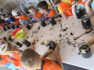 Tygryski w zagrodzie edukacyjnej 