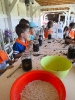 IMG-20240527-WA0012
