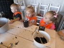 IMG-20240527-WA0017
