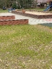 IMG_3077