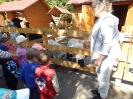 Wizyta dzieci z grupy Smerfów i Pszczółek w Atis Alpakoterapia 15,16.05.2024 r