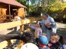 Wizyta dzieci z grupy Smerfów i Pszczółek w Atis Alpakoterapia 15,16.05.2024 r