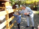 Wizyta dzieci z grupy Smerfów i Pszczółek w Atis Alpakoterapia 15,16.05.2024 r
