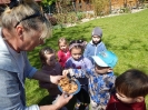 Wizyta dzieci z grupy Smerfów i Pszczółek w Atis Alpakoterapia 15,16.05.2024 r