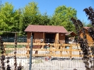 Wizyta dzieci z grupy Smerfów i Pszczółek w Atis Alpakoterapia 15,16.05.2024 r