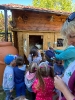 Wizyta dzieci z grupy Smerfów i Pszczółek w Atis Alpakoterapia 15,16.05.2024 r