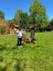 Wizyta dzieci z grupy Smerfów i Pszczółek w Atis Alpakoterapia 15,16.05.2024 r
