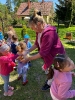 Wizyta dzieci z grupy Smerfów i Pszczółek w Atis Alpakoterapia 15,16.05.2024 r