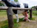 DSCF3875
